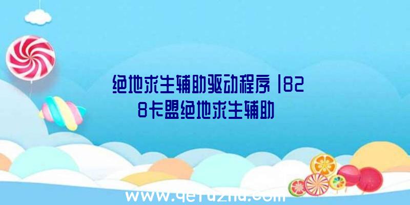 「绝地求生辅助驱动程序」|828卡盟绝地求生辅助